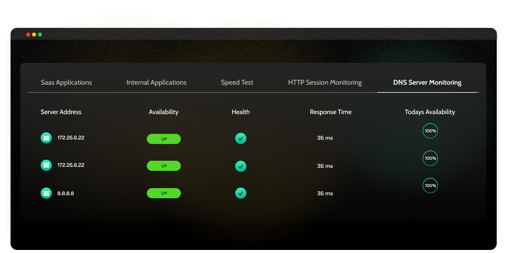 DNS Detection and Monitoring_